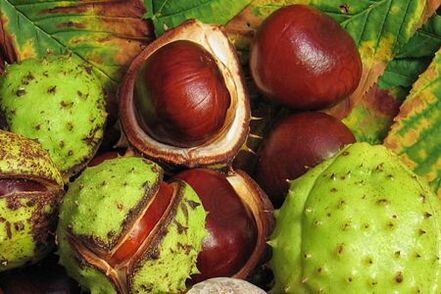 As froitas de castaña de cabalo úsanse no tratamento da prostatite