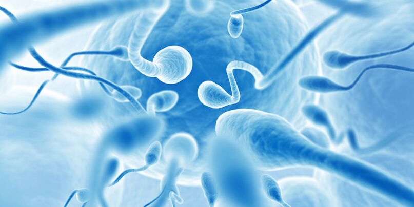 Ejaculación cedo en homes con prostatite crónica